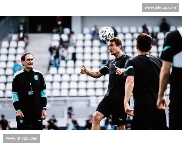 欧洲杯焦点之战乌克兰对决瑞典黑马碰撞引爆赛场悬念激情对抗夜晚